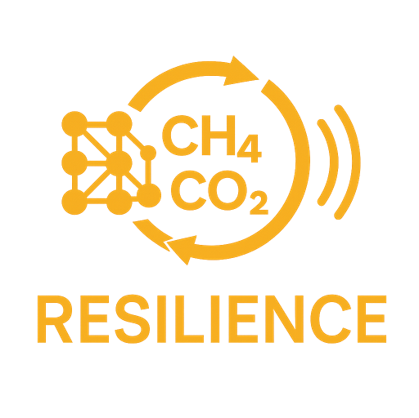 RESILIENCE logo